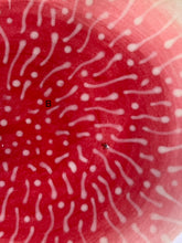 Load image into Gallery viewer, Seconds Sale