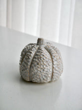Load image into Gallery viewer, Ceramic Textured Milky Moon Pumpkin