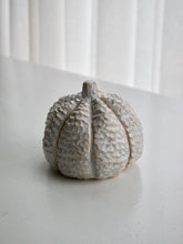Load image into Gallery viewer, Ceramic Textured Milky Moon Pumpkin