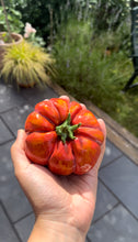 Load image into Gallery viewer, Ceramic Tomato (Medium/Small - Red-Burgundy)
