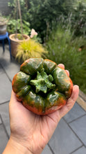 Load image into Gallery viewer, Ceramic Tomato (Medium/Small - Dark Green &amp; Red)

