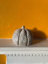 Load image into Gallery viewer, Ceramic Textured Milky Moon Pumpkin
