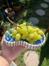 Load image into Gallery viewer, Ceramic Swimming Pool Dishes
