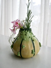 Load image into Gallery viewer, Small Green Knobbly Gourd Vase
