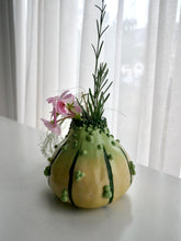 Load image into Gallery viewer, Small Green Knobbly Gourd Vase
