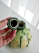 Load image into Gallery viewer, Small Green Knobbly Gourd Vase
