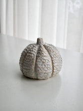 Load image into Gallery viewer, Ceramic Textured Milky Moon Pumpkin
