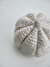 Load image into Gallery viewer, Ceramic Textured Milky Moon Pumpkin
