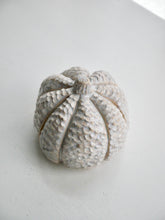 Load image into Gallery viewer, Ceramic Textured Milky Moon Pumpkin
