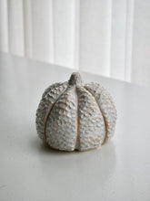 Load image into Gallery viewer, Ceramic Textured Milky Moon Pumpkin
