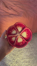 Load and play video in Gallery viewer, Small Ceramic Tomato Dishes
